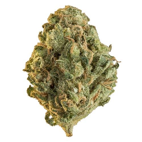 Sativa-Dominant RIO BRAVO (WABANAKI) by Edison THC 17-22% CBD 0-1.99%