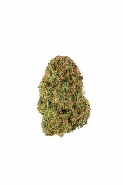 Get Master Wappa, one of the most sought after cannabis strains. Enjoy intense aromatic effects and savory flavors from this award-winning strain! Shop now online.