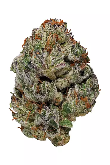 Buy Birthday Cake Cannabis Strain Online