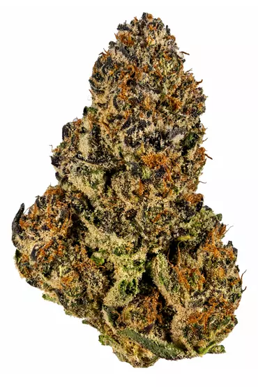 Orange Daiquiri Cannabis Strain