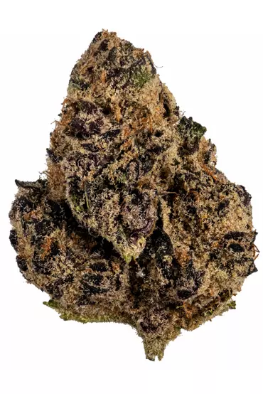 Buy Tropicana Cookies Cannabis Strain Online