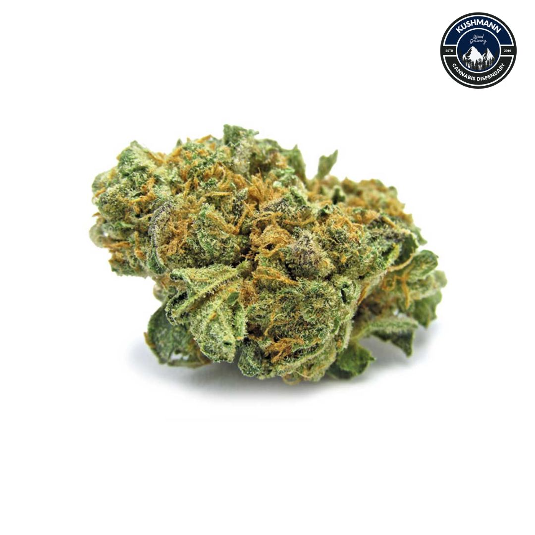 Buy Monster Cookies Marijuana Strain Online