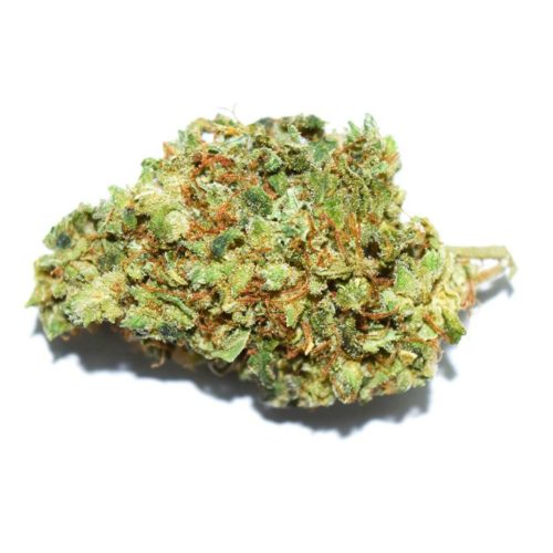 Buy Amnesia Haze Cannabis Strain Online