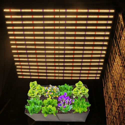 Buy Gavita PRO 1700e LED Grow Lights Online